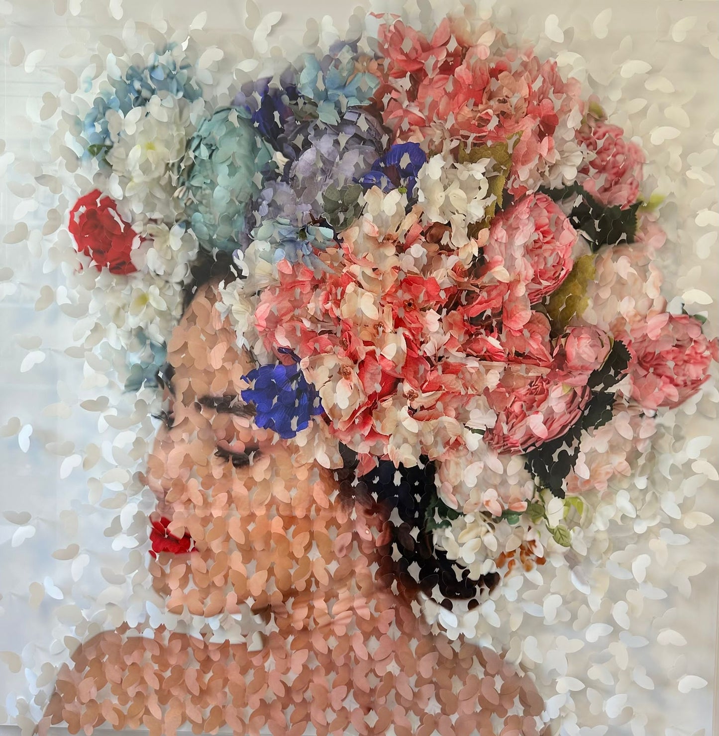 LIS S - Hortensia 2023