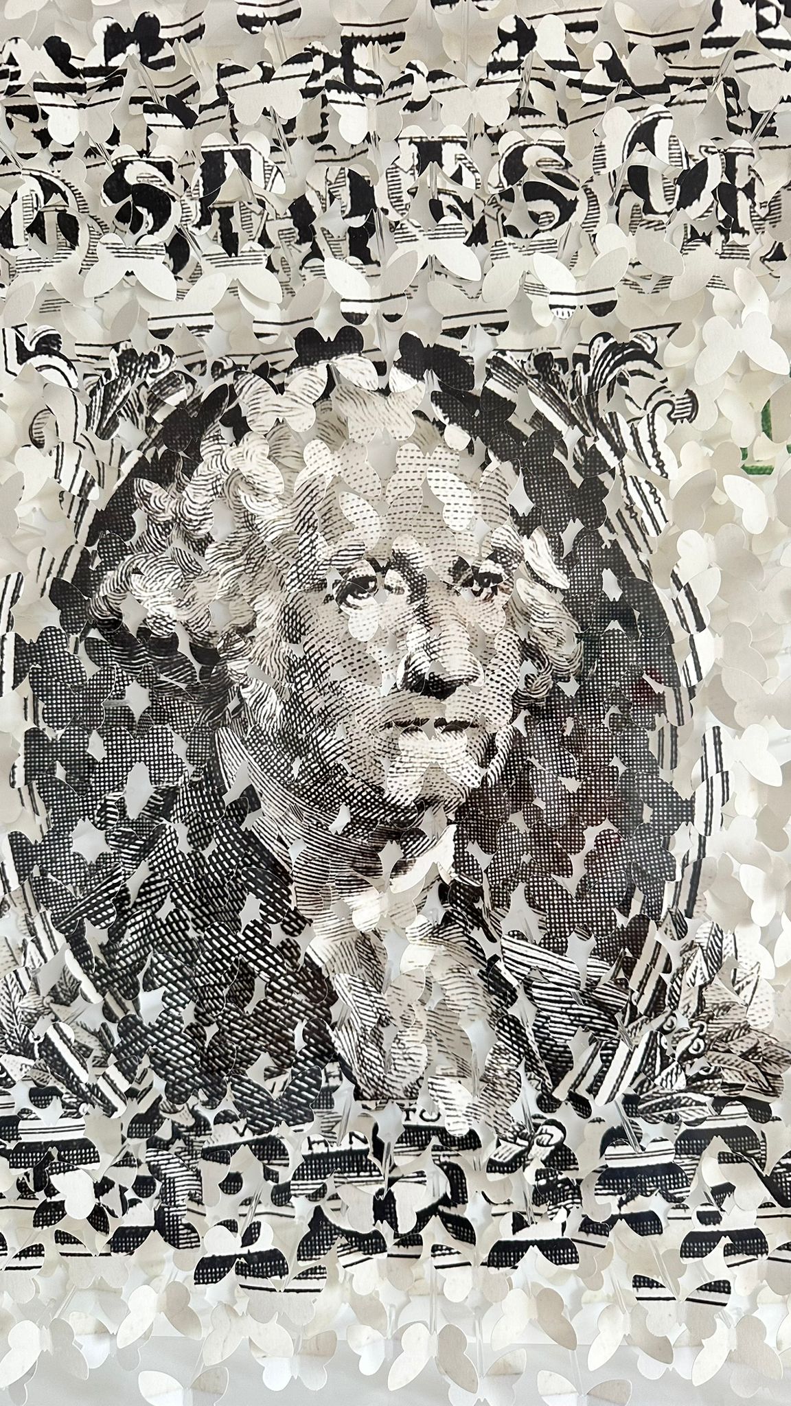 LIS S - Dollars 2023