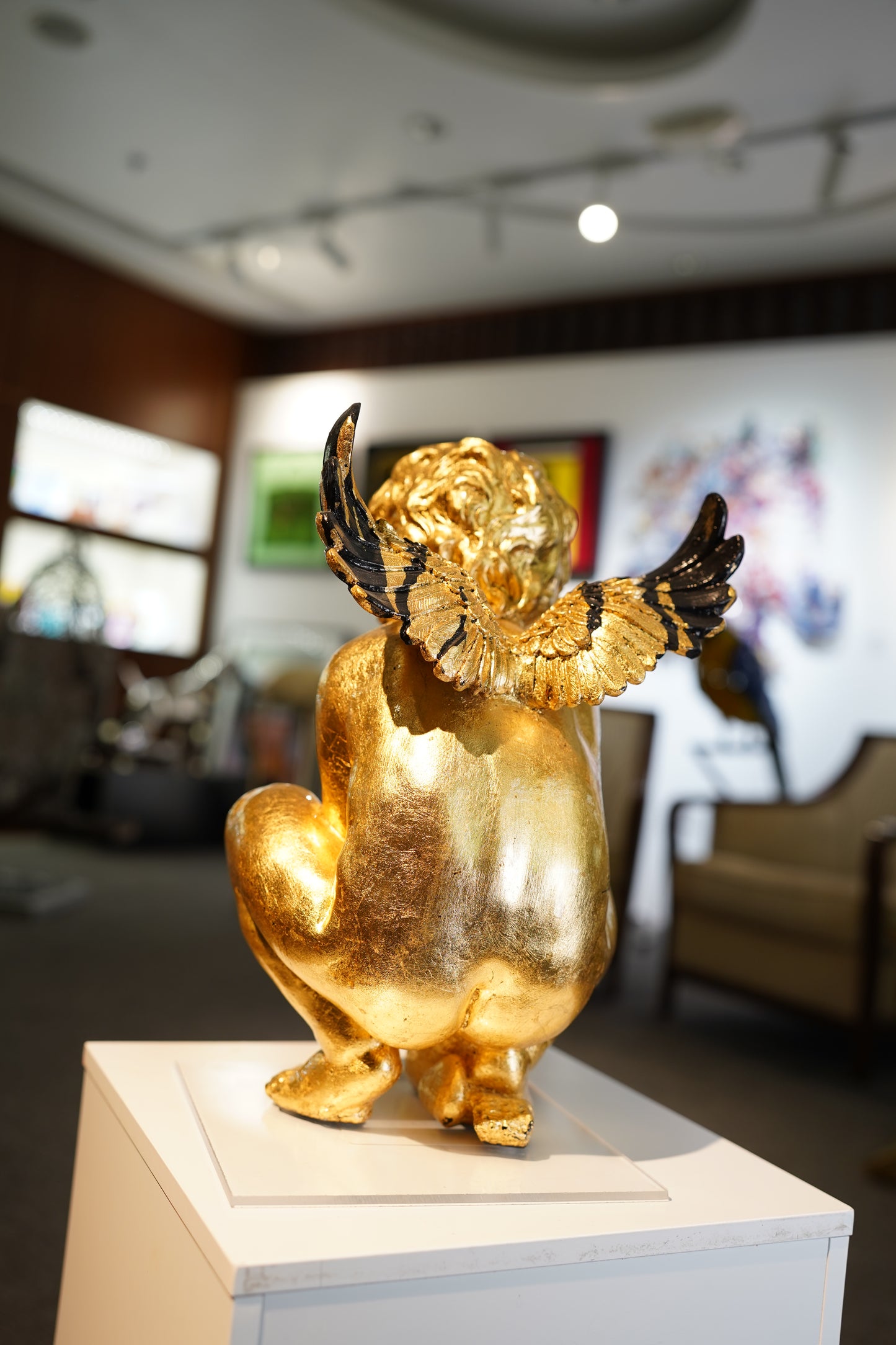 JIMMIE M - Gold CH Tribute “Naughty Angel”