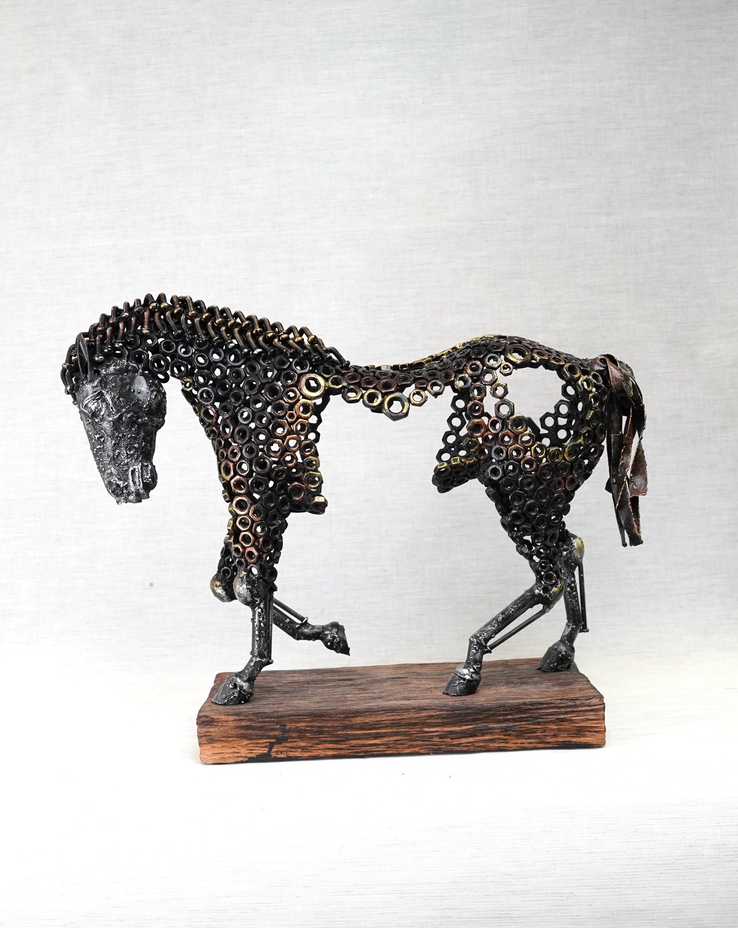 ARUN A - Walking Horse