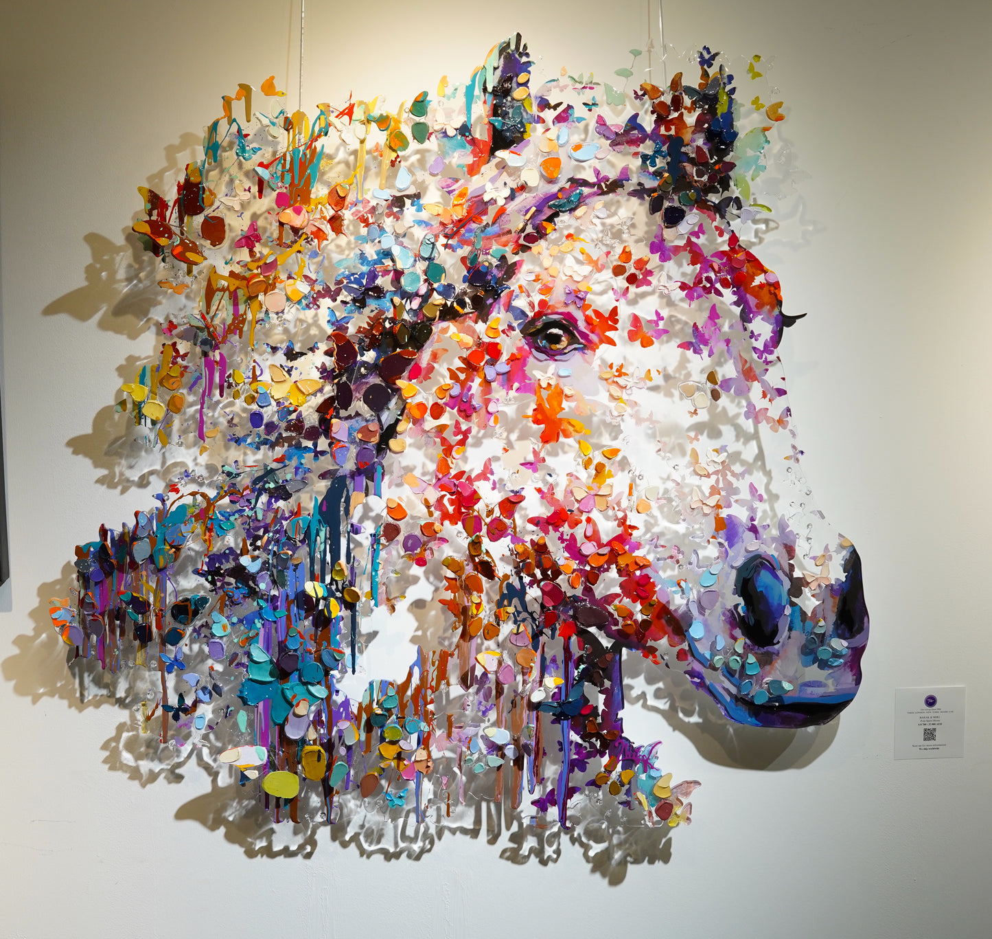 BARAK& MIRI - Free Spirit Horse
