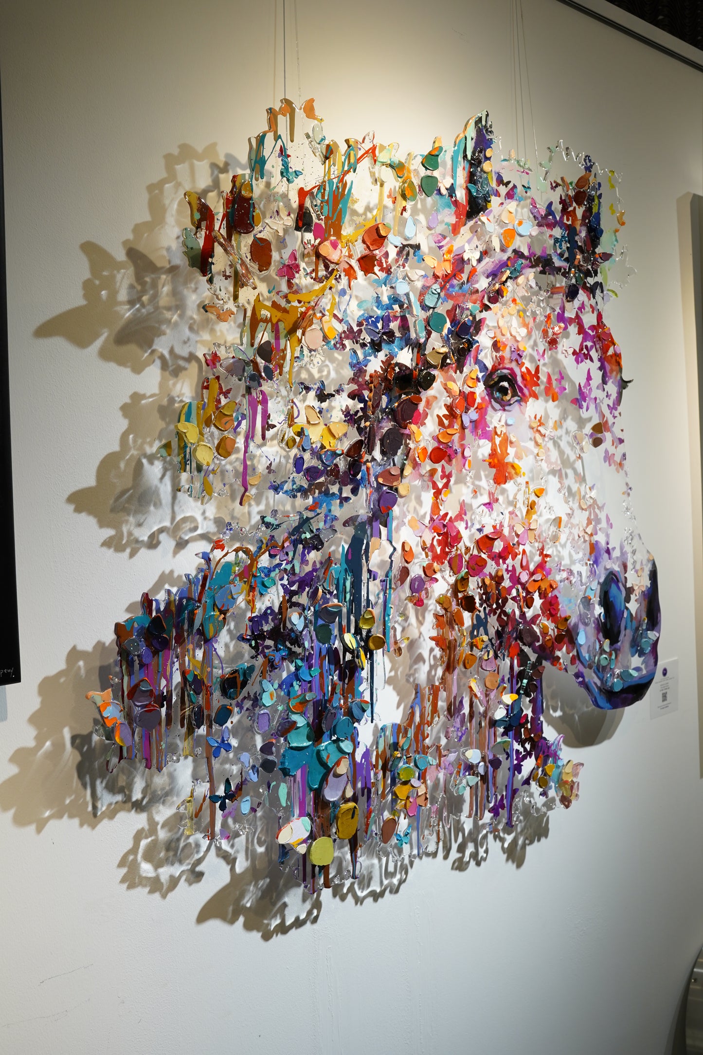 BARAK& MIRI - Free Spirit Horse