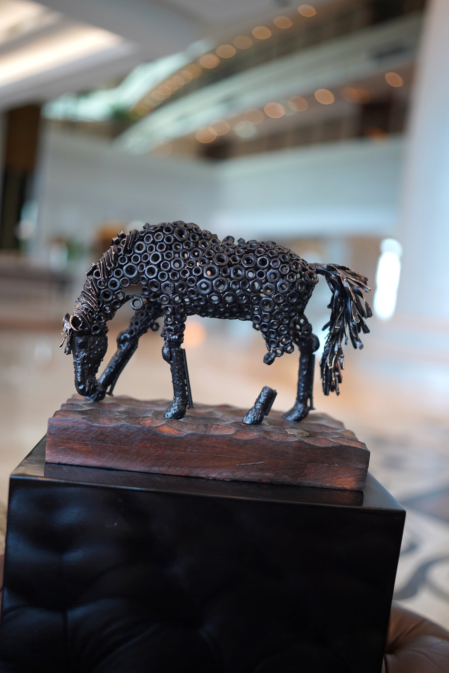 ARUN A - Small Horse