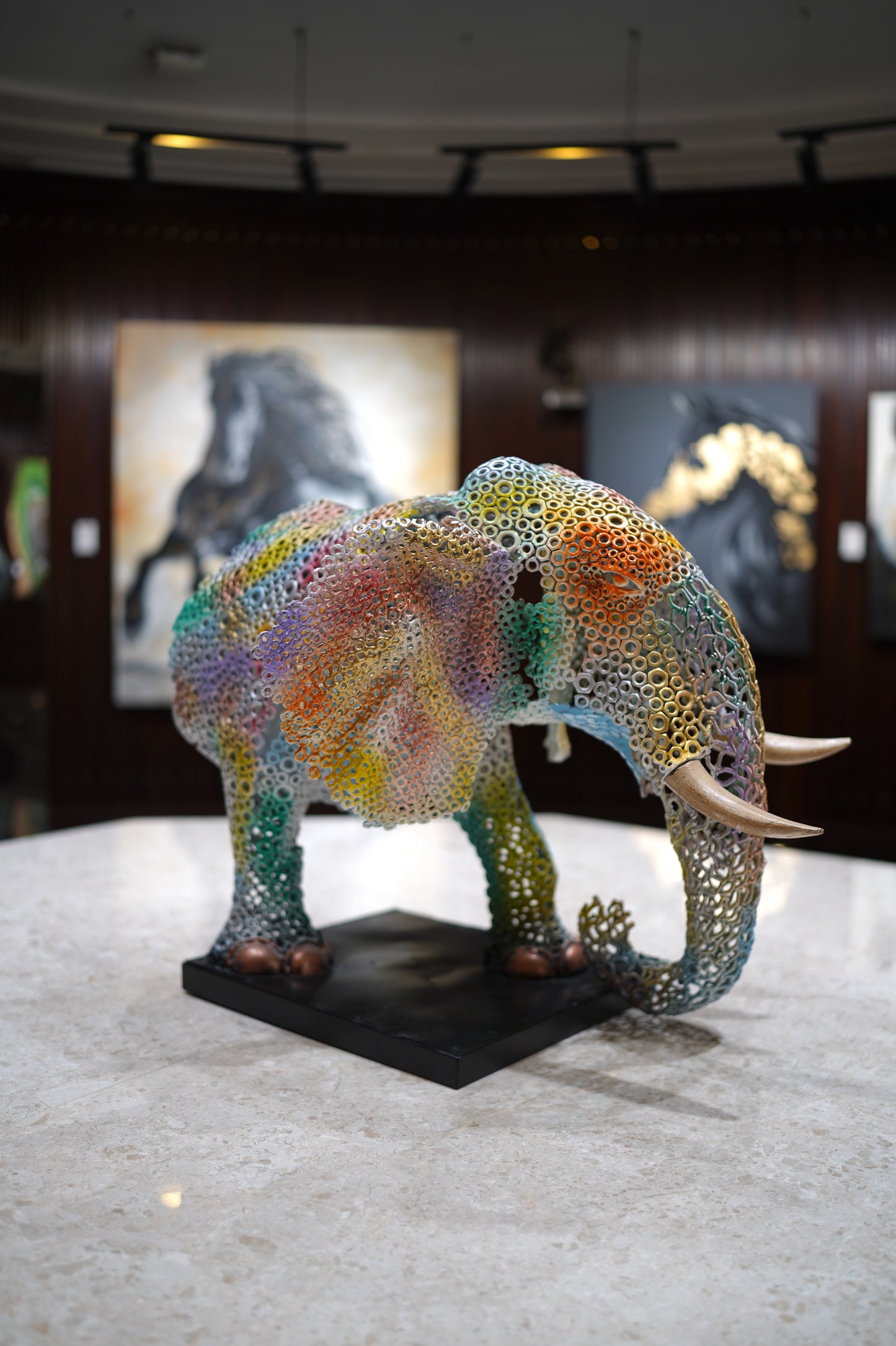 ARUN A - Rainbow Elephant
