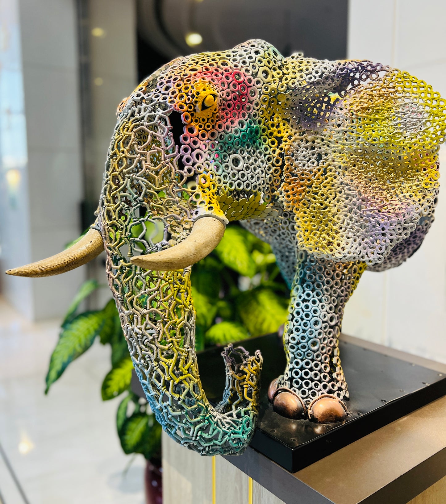 ARUN A - Rainbow Elephant