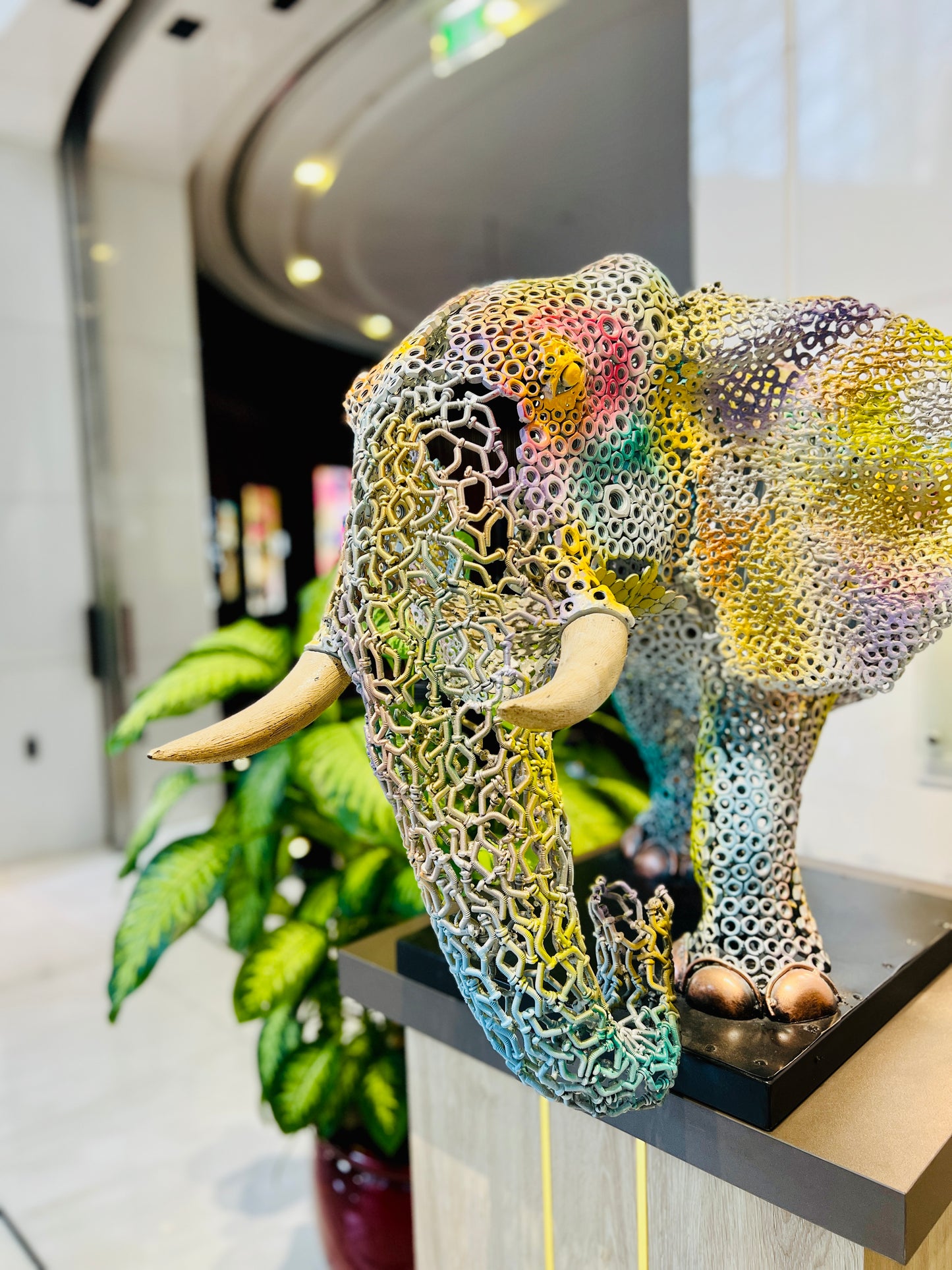 ARUN A - Rainbow Elephant