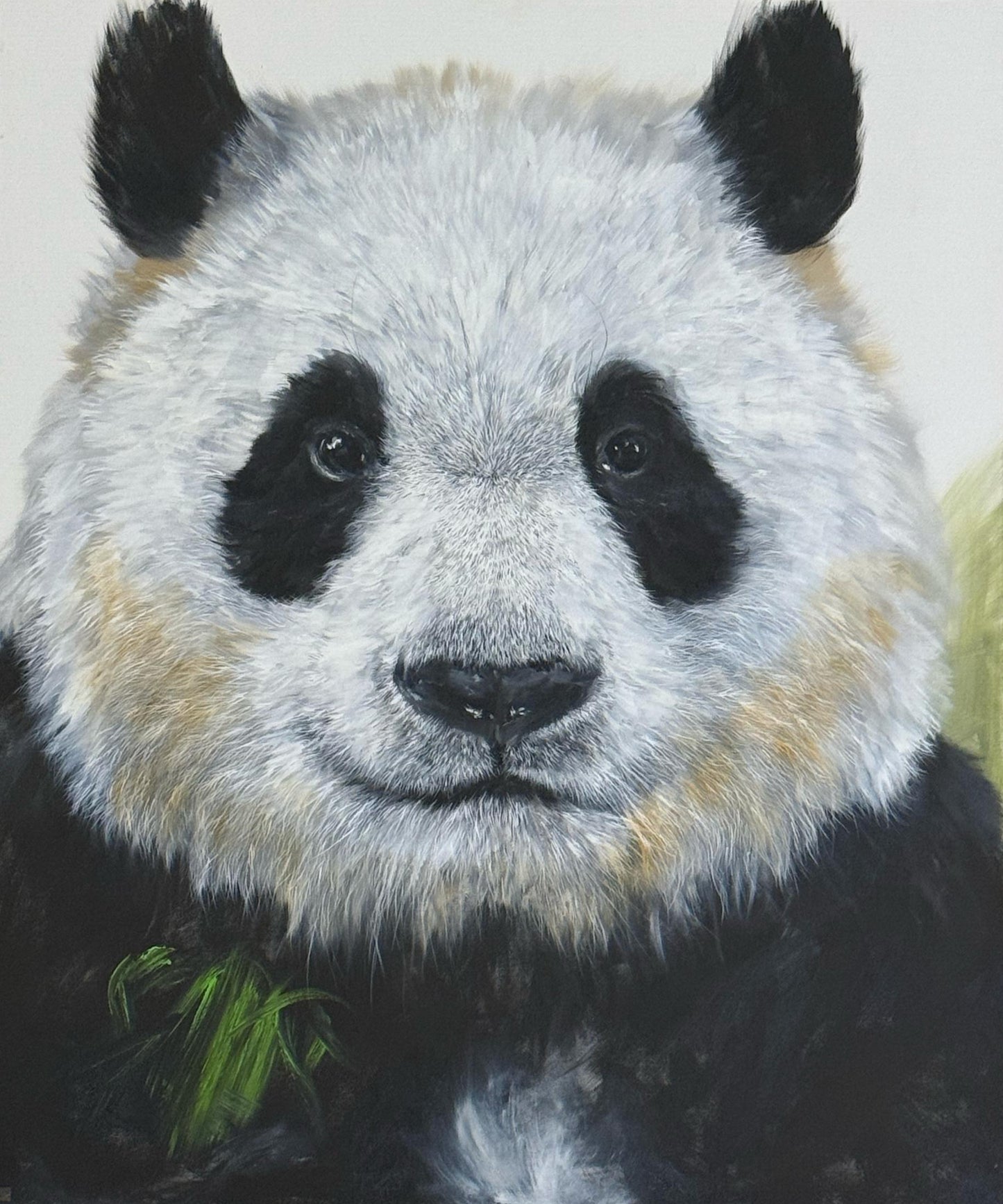 YUAN HENRY - Panda