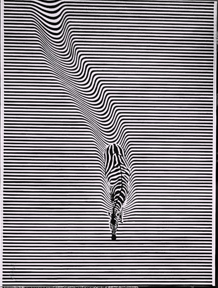 RAAMJI S - Zebra