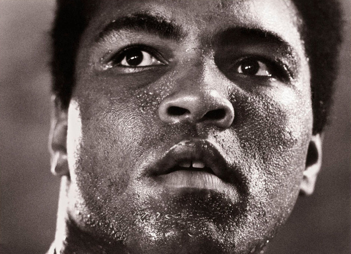 MICHAEL BRENNAN - Muhammad Ali 1977 signed by Ali