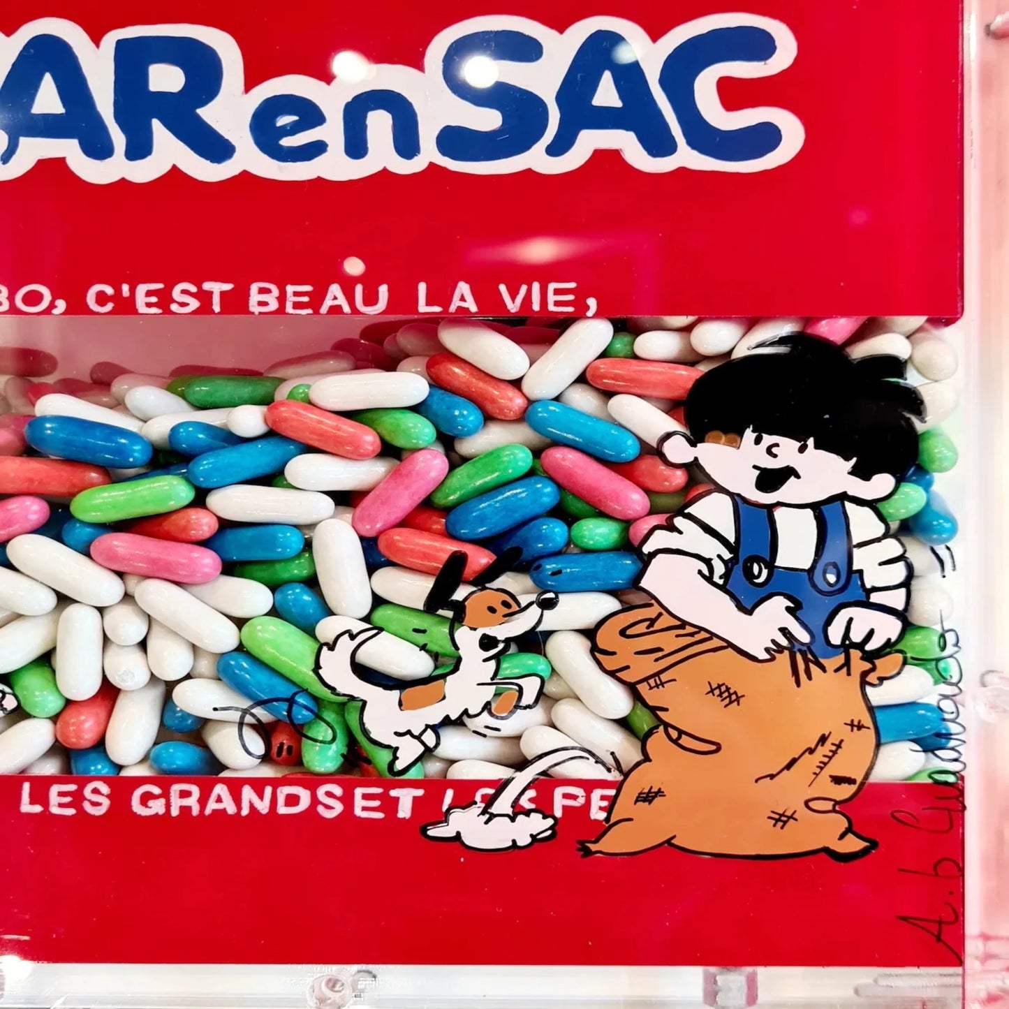 ANNICK C - Car en Sac Tribute (Medium format)