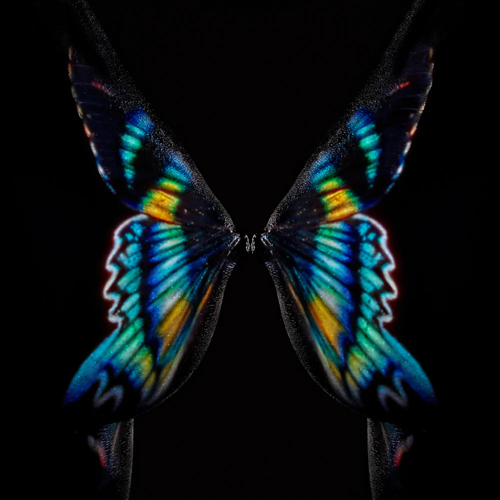 GIULIANO B - Butterfly or Breast