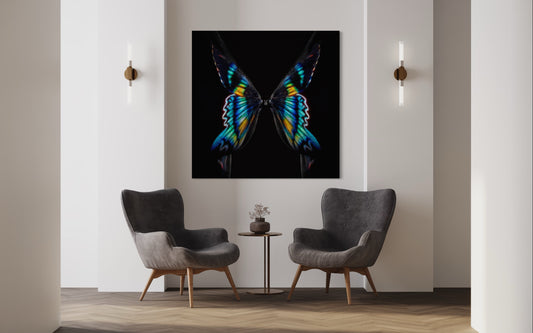GIULIANO B - Butterfly or Breast
