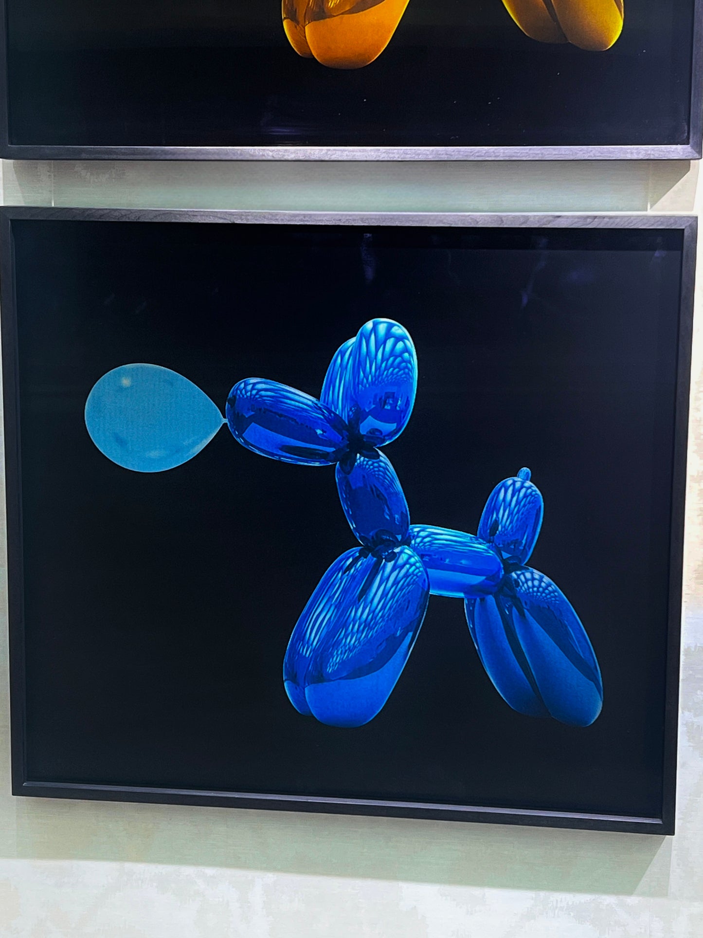 WALTER M - Cabaret Poodle