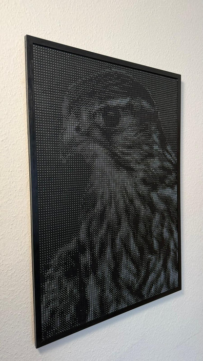 Anna - Falcon Tribute