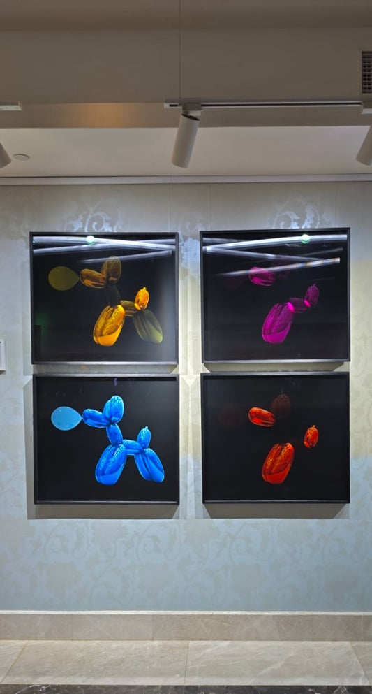 WALTER M - Cabaret Poodle