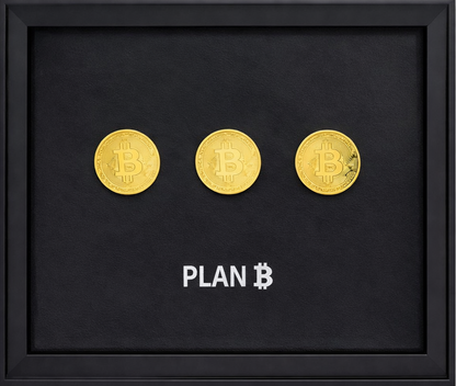 TINA S - Plan Bitcoin