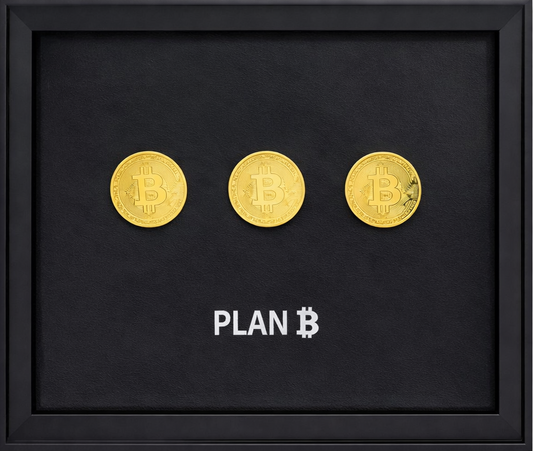 TINA S - Plan Bitcoin