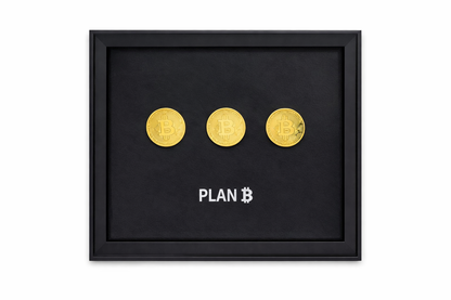 TINA S - Plan Bitcoin