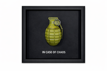 TINA S - In case of chaos