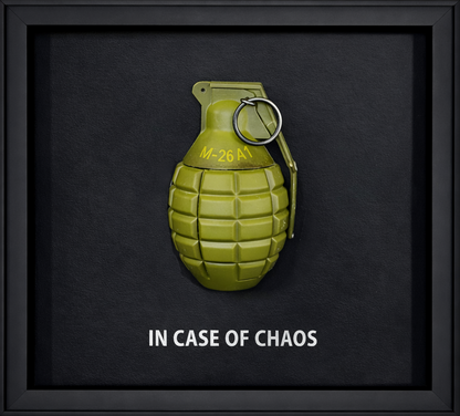 TINA S - In case of chaos