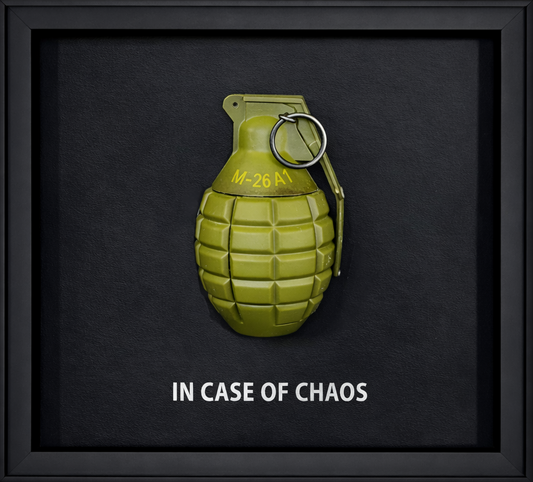 TINA S - In case of chaos