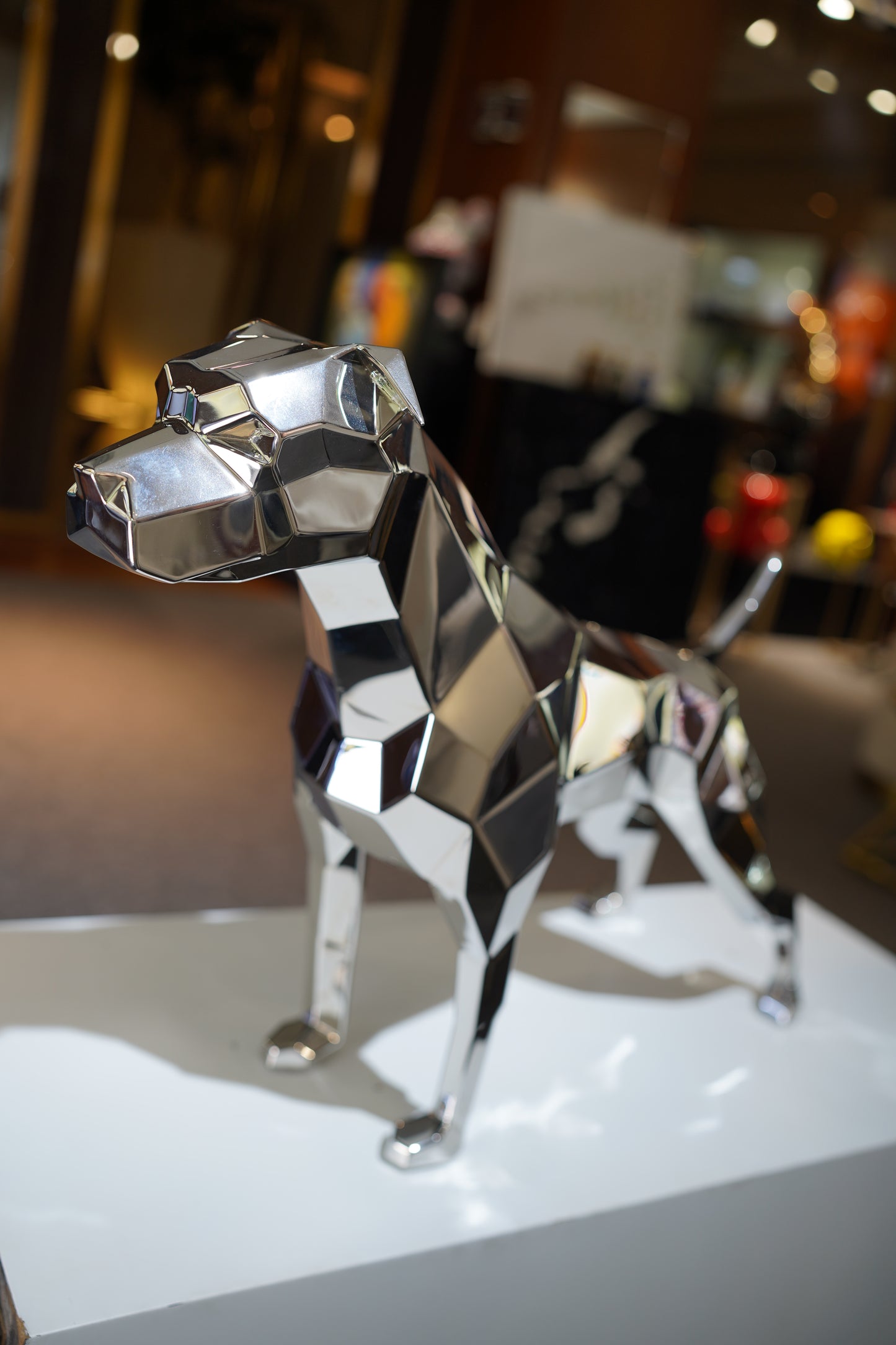ANDREW K - Mirror Polished Gamedog 54cm
