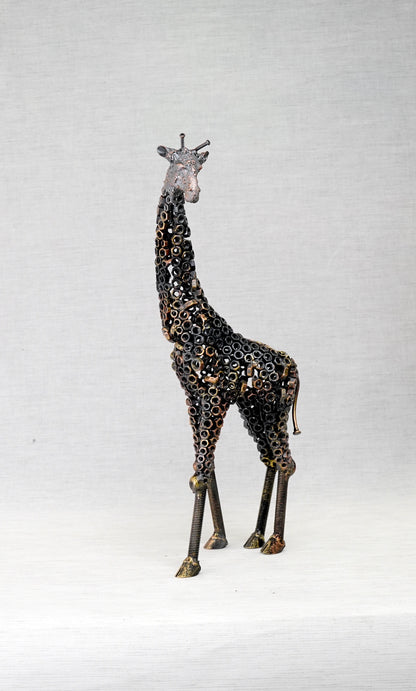 ARUN A - Giraffe