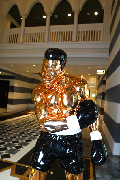 SANUJ - Knockout Muhammad Ali tribute