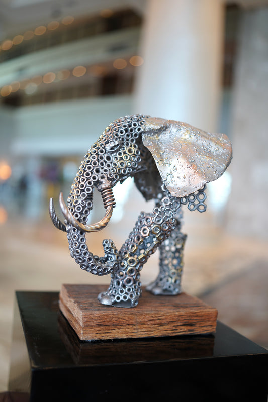 ARUN A - Elephant Chest