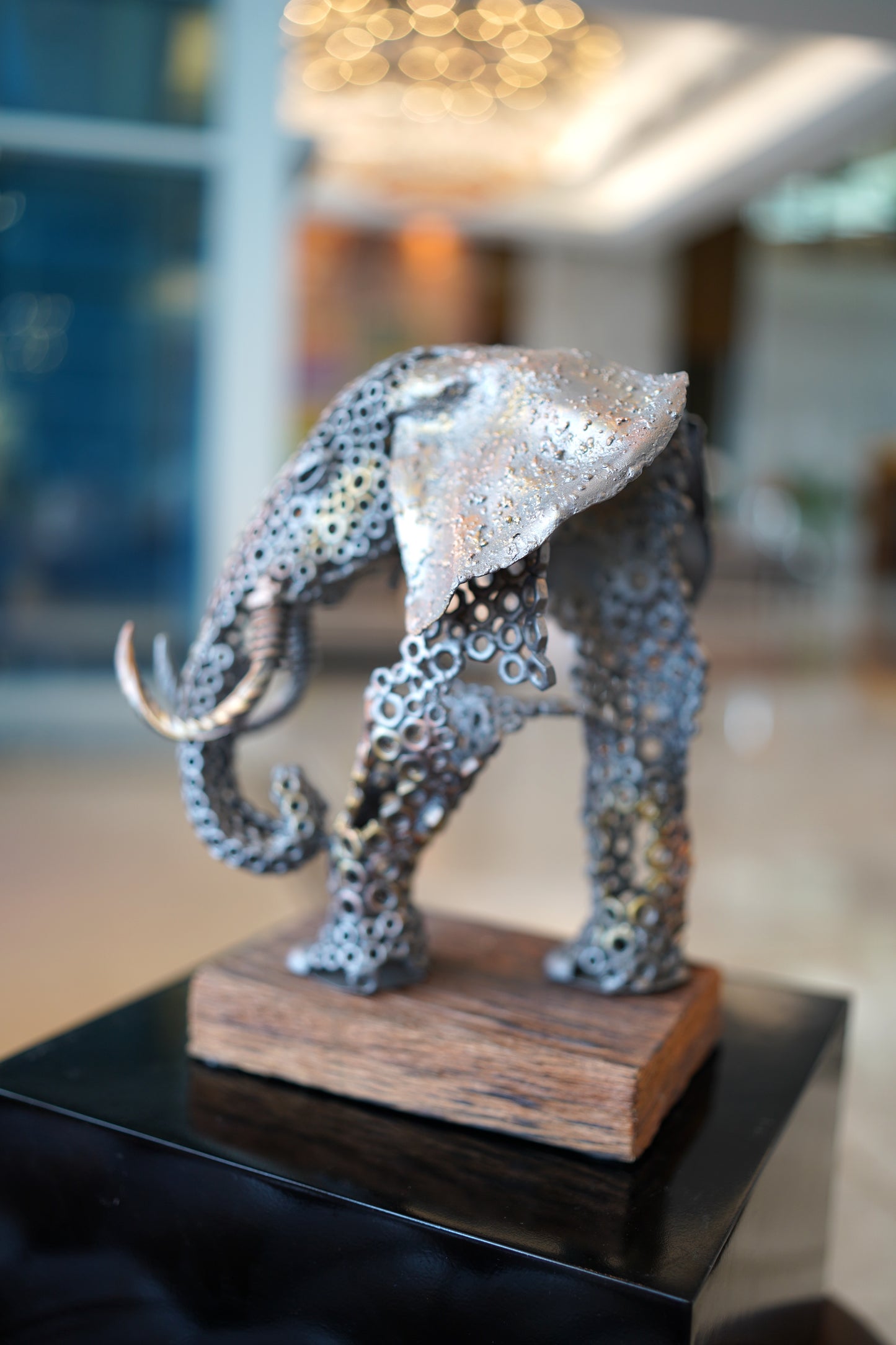 ARUN A - Elephant Chest