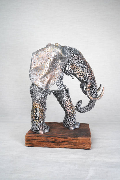 ARUN A - Elephant Chest