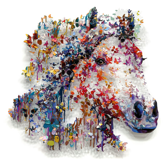 BARAK& MIRI - Free Spirit Horse
