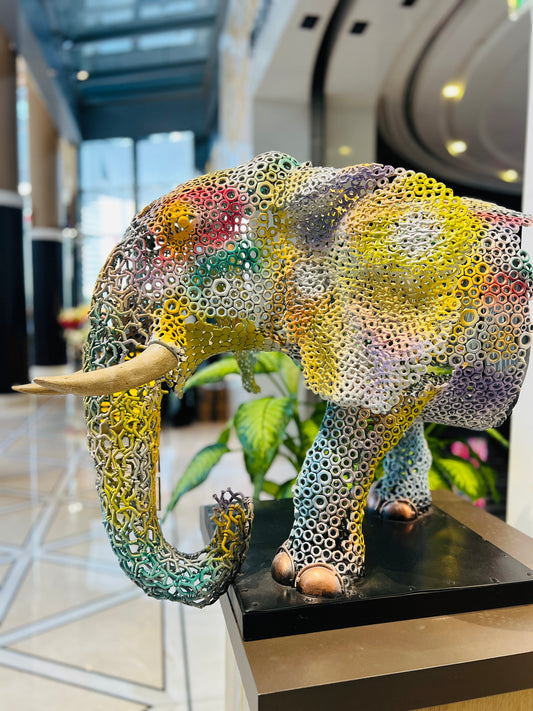 ARUN A - Rainbow Elephant