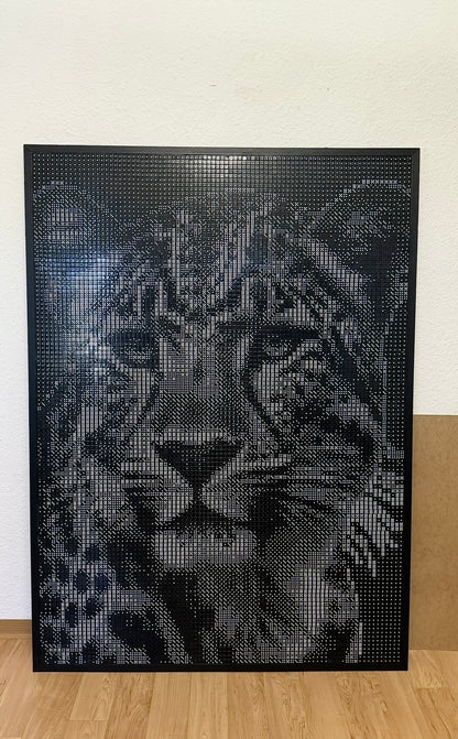 Anna Dice - Felin Tribute