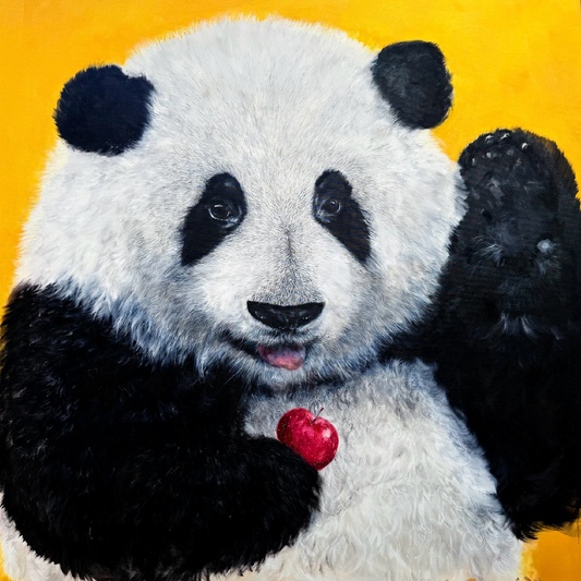 YUAN HENRY - Hua Hua Panda