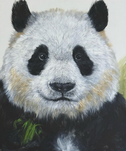 YUAN HENRY - Panda