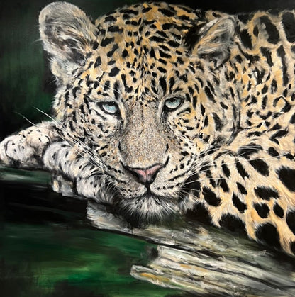 YUAN H - Resting Leopard