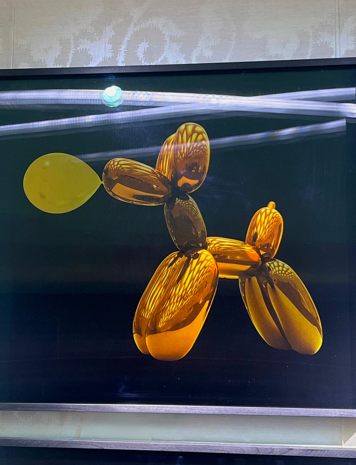 WALTER M - Cabaret Poodle