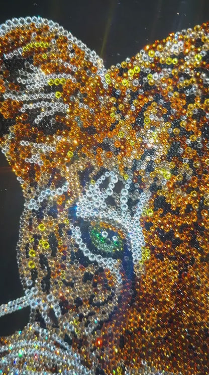 LILY - Laying Leopard