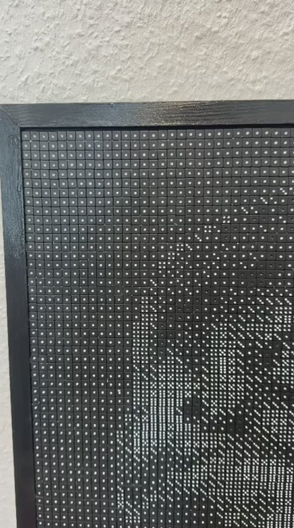 Anna - Falcon Tribute