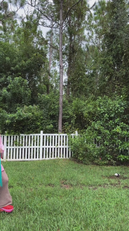 AMY S - Orange You Glad