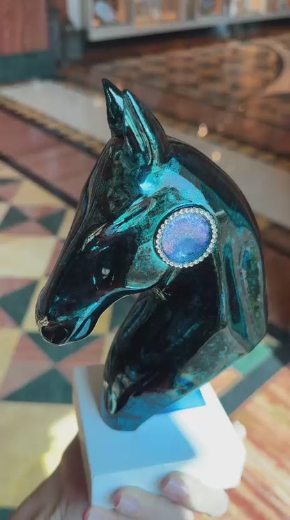 CYRIL B - Sapphire Eclypse Horse