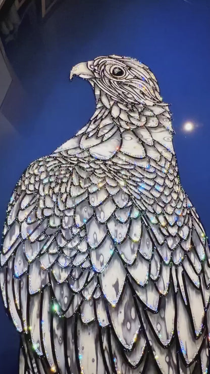 LILY - Wild Falcon