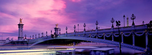 WINNIE D - Pont Alexandre III Paris