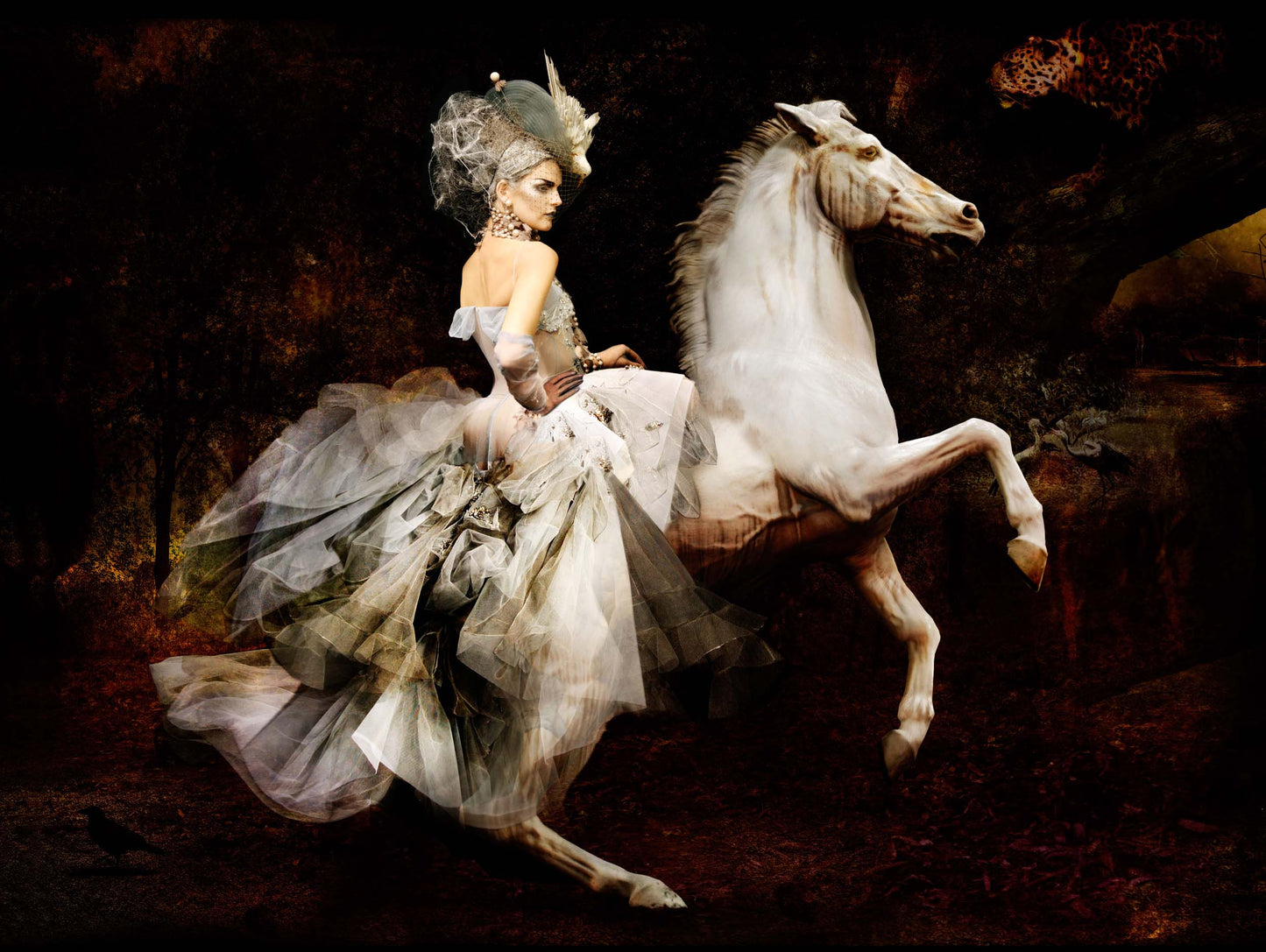 SIMON P - Dior Rider