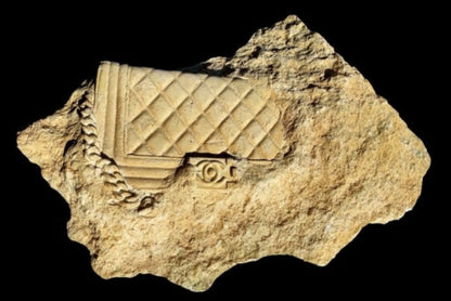 EDOUARD M - Fossil bag
