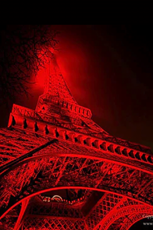 WINNIE D - Red Tour Eiffel Paris