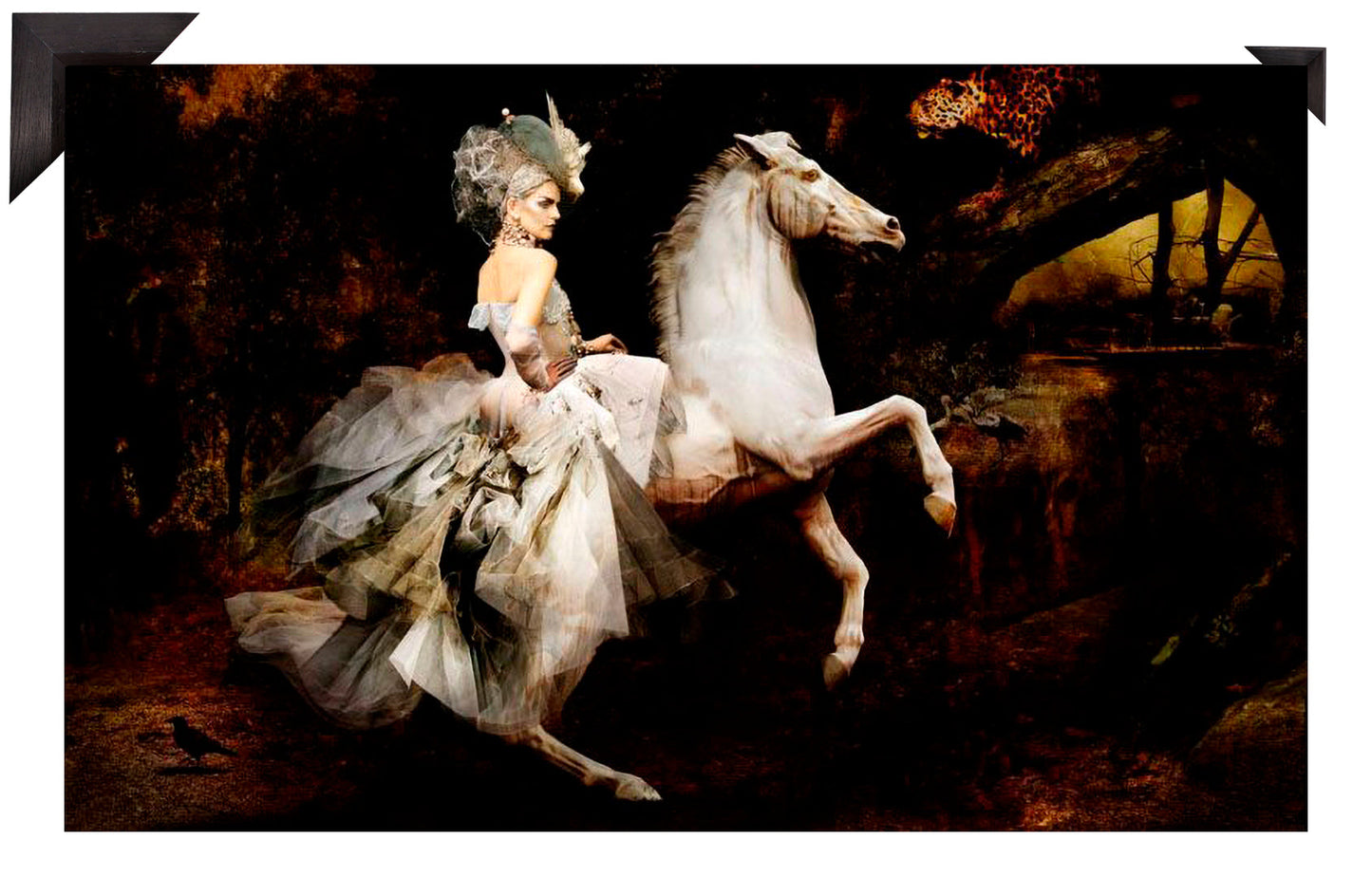 SIMON P - Dior Rider